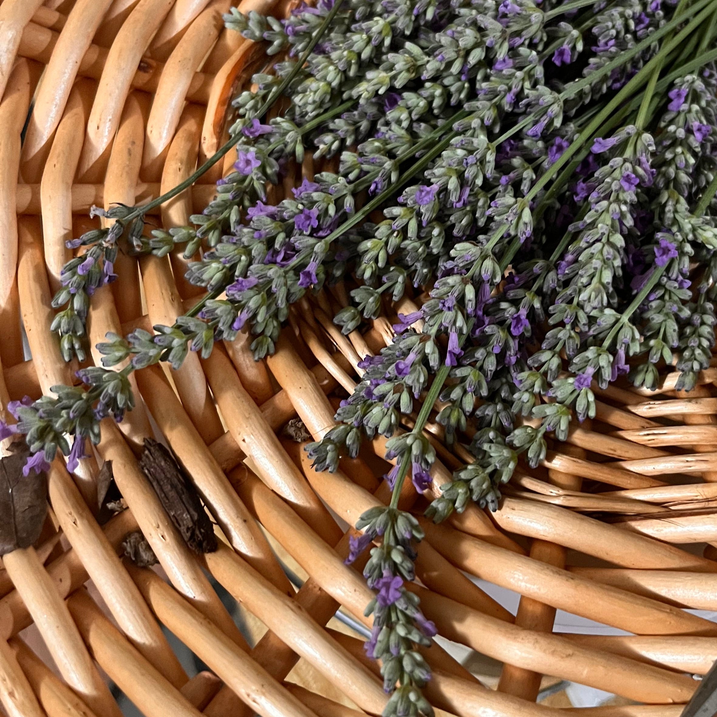 bunch of purple lavender blooms