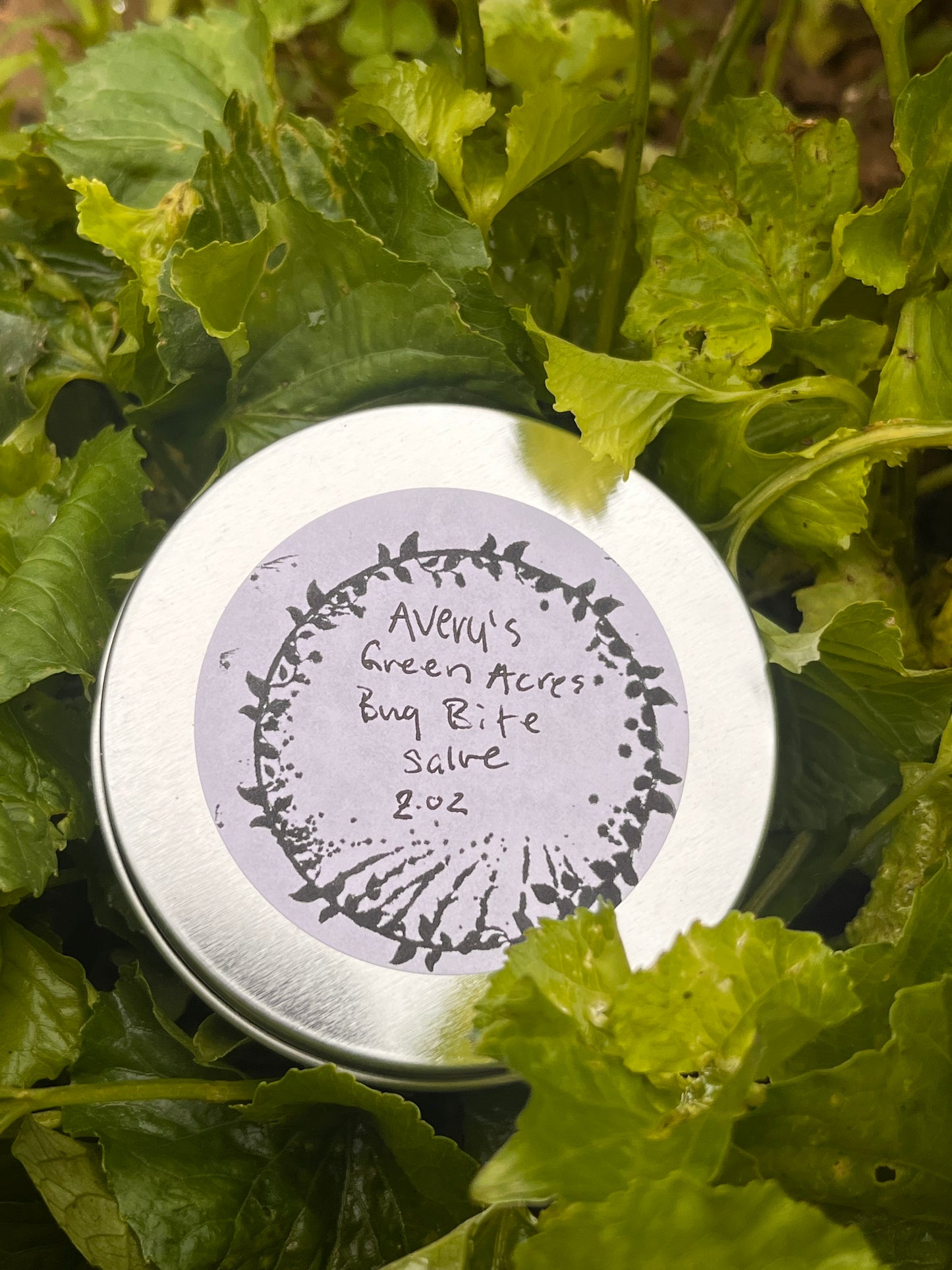 Bug Bite Salve